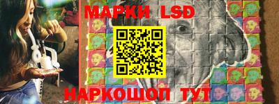 сатива Новокубанск