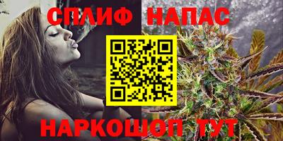 сатива Новокубанск
