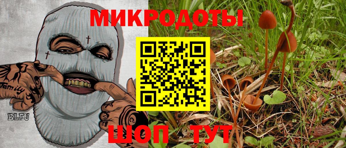 Тайшет  Галлюциногенные грибы GOLDEN TEACHER  Галлюциногенные грибы Magic Shrooms  Вход с VPN 