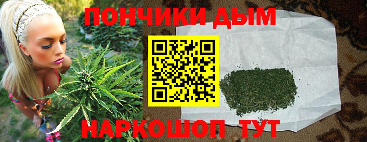 Конопля индика Тайшет